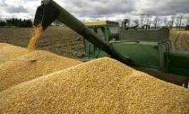 Algérie : hausse des importations de céréales sur les 4 premiers mois