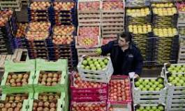 L’inflation annuelle en hausse de 4,8% en Algérie