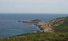 Les arbres ne pousseront plus à... Melbou