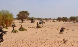 L'ANP déjoue une énième tentative d'introduction d'armes à feu par le sud