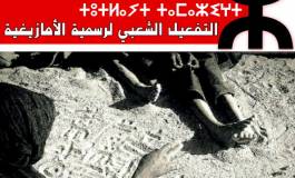 L’Assemblée Mondiale Amazighe conteste le recensement de la population du 2014 au Maroc