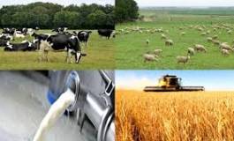 Batna : les agriculteurs s'assurent peu contre les intempéries