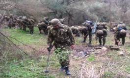 16 casemates aménagées détruites à Tizi-Ouzou, annonce le MDN