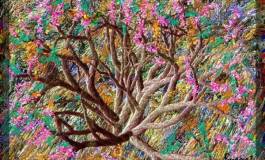 Bachir Yanat, l'amoureux fou de la création numérique