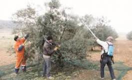 Batna : les habitants de la commune de Boumeguer sont en colère