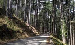 Batna : la nouvelle route de Oum-Erkha verra le jour bientôt