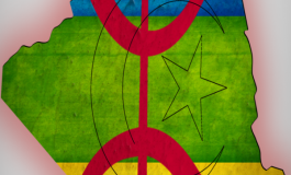 Nouvelle constitution : une petite porte pour tamazight et de gros verrous pour protéger l’arabe