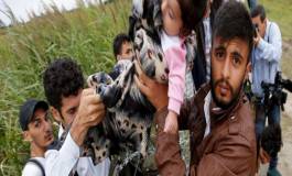 Drame en Europe : 6.500 migrants bloqués à la frontière gréco-macédonienne