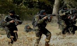 Deux terroristes neutralisés par l’ANP en Kabylie et In Aménas