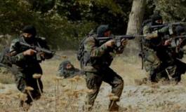 Huit terroristes éliminés par l’ANP dans la wilaya de Bouira