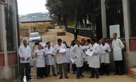 Sit-in des vétérinaires à Tiaret