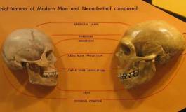 Vidéo. "Kabyles" contre "Arabes" ou "Arabes" contre "Kabyles" dites-vous ?!