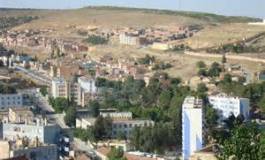 Saisie de plus de 400 kg de viande à Tiaret