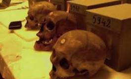 Des historiens français réclament la restitution des crânes d'Algériens à leur pays