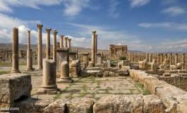 Le nouveau programme de la licence en histoire : déséquilibres et incohérences