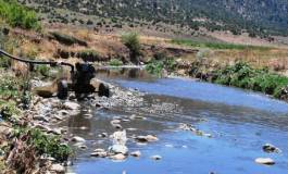 Saisie de pompes servant à irriguer des cultures avec des eaux polluées à Batna