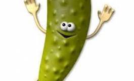 M. Bouteflika, arrêtez de prendre les Algériens pour des cornichons !