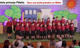 Le maltais, le parler algérien, une langue officielle transcrite en caractères latins (IV)