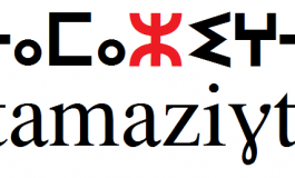 Le maltais, le parler algérien, une langue officielle transcrite en caractères latins (I)