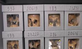 Les crânes de résistants algériens et les augures d’Ould Abbès