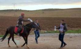 Équitation: l’Algérie remporte le raid d’Endurance 120 Km de Tunis