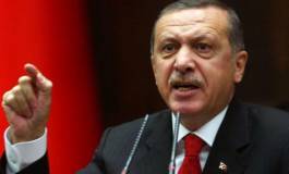 Le président Erdogan veut un référendum pour s'arroger les pleins pouvoirs