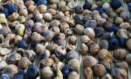 Un label spécial pour la figue seiche d'Ath Maouch et la datte "Daglet Nour" de Tolga