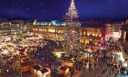 Berlin : un camion percute plusieurs piétons sur un marché de Noël, Neuf morts et une cinquantaine de blessés