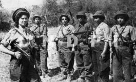 A comme Algérie (V)