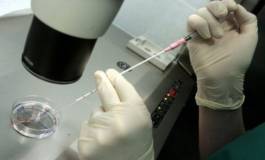 De plus en plus d’hommes infertiles en Algérie