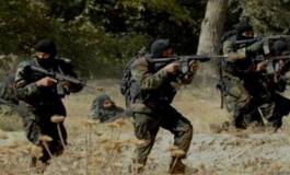 Un dangereux terroriste éliminé par l'ANP dans les maquis de Jijel