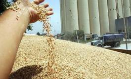 Le coût d'importation des céréales est de 2,54 milliards de dollars