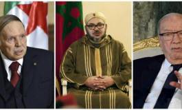 L'Algérie, le Maroc et la Tunisie dirigés par des chefs d'Etat "malades", estiment des députés français (Vidéos)