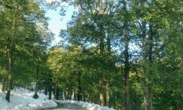 38 routes nationales et chemins de wilaya fermés à la circulation