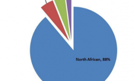 La génétique a tranché : des pays arabes pas si Arabes, l’ADN Nord-Africain présent sur quatre continents