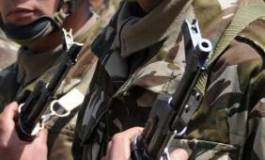 Deux terroristes abattus et deux autres capturés par l'ANP à Dellys