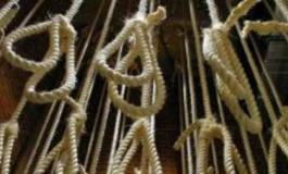 Quinze "terroristes et criminels" ont été pendus en Jordanie