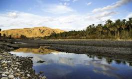 Saïda Abouda : "Ma région, les Aurès, me hante"