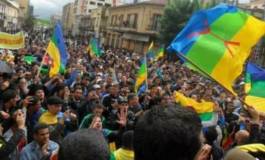 "L'officialisation de tamazight est formelle"