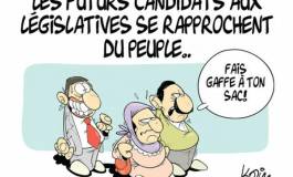 Les "élections législatives": Les mots [maux] de la campagne électorale