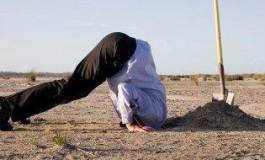 Mercenaires, caméléons et libres penseurs