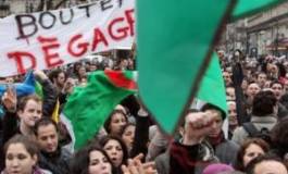 Portrait d’un Algérien boycotteur d’élections