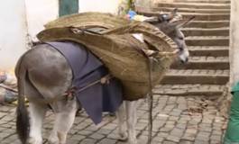 Avec les éboueurs de la Casbah