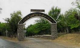 Bientôt, la construction d'une École nationale d'équitation à Tiaret