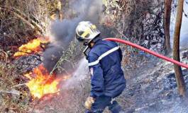 Plus de 50 hectares d’arbres forestiers ravagés par le feu à Jijel