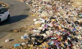 "Pluies" de déchets sur notre environnement : du "réflexe du singe" au geste de défi