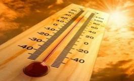 La canicule et les feux de forêts à l'origine des coupures d'électricité