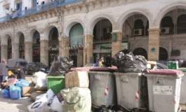 Un numéro vert pour signaler les dépôts d'ordures sauvages !!!