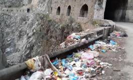 L'incompétence des uns et l’incivisme des autres dévastent nos forêts !