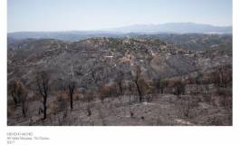 Plus 150 incendies enregistrés en 24 heures en Algérie